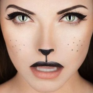 maquiagem de gato 