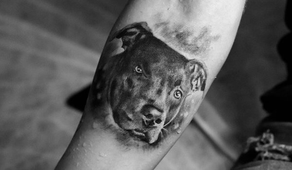 Tatuagem Homenagem ao animal de estimação