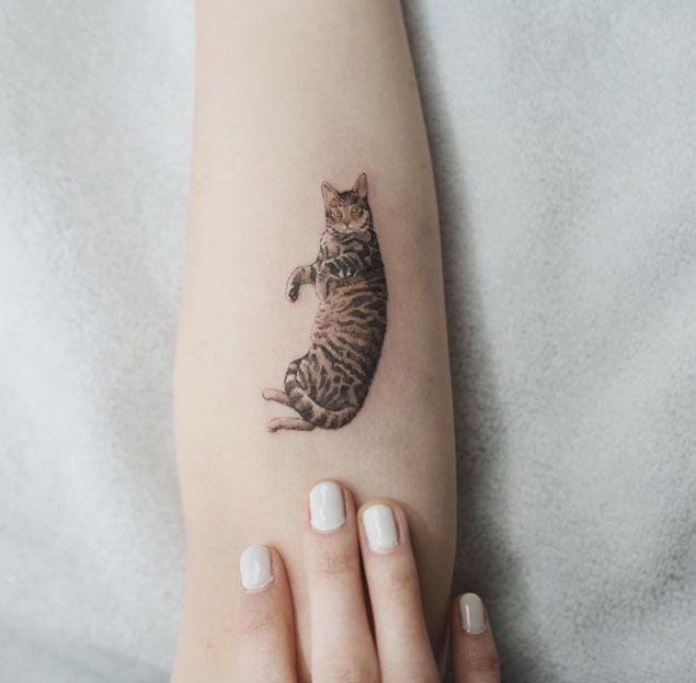 tatuagem realista pequena de gato
