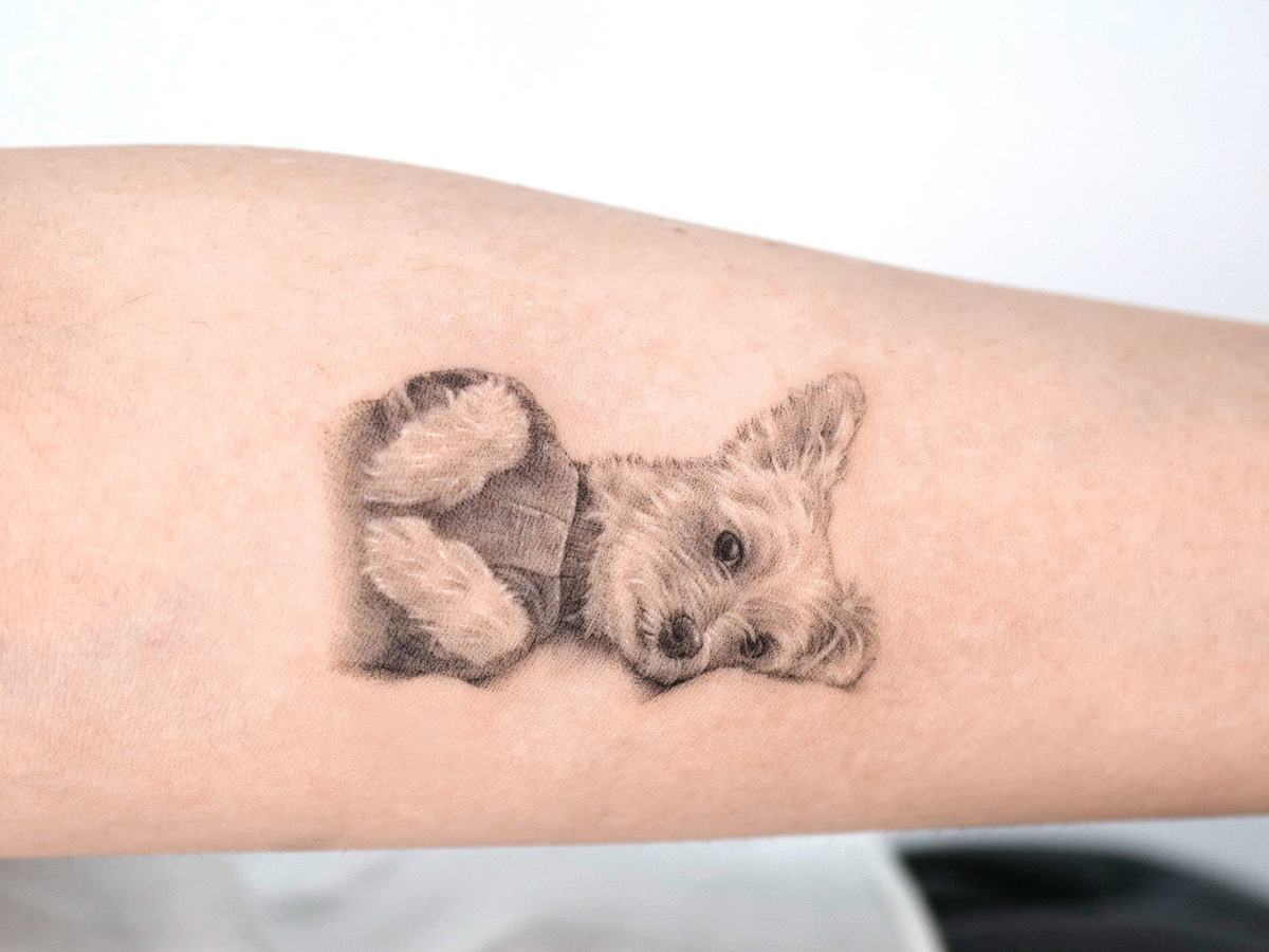 Ideias de tatuagens para homenagear seu pet. Foto tatuagem de um cachorro