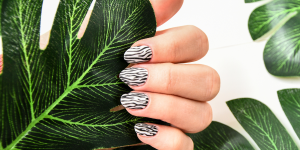Animal Print na Nail Art. Foto mão segurando uma folha e unhas com animal print de zebra